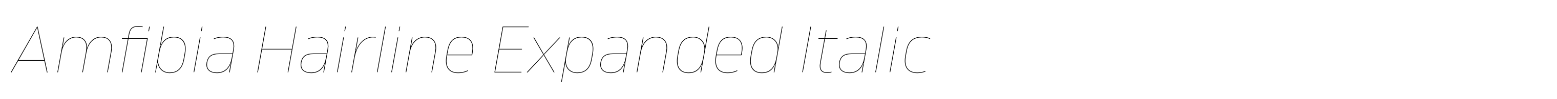 Amfibia Hairline Expanded Italic